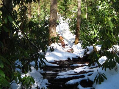 Swampy Place In Trail
Near Spivey Gap,
1-29-2011
