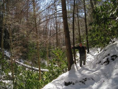 Rat Patrol 
Snow covered trail,
Near Spivey Gap, 
1-29-2011

