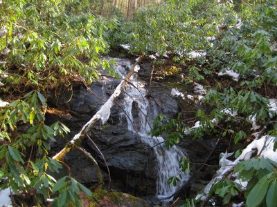 Waterfall
Upper Devil's Creek,
1-29-2011
