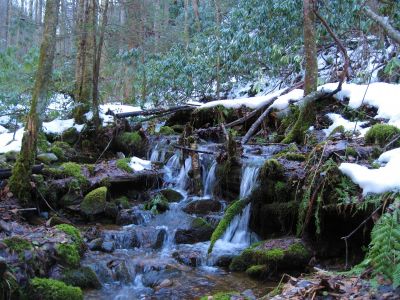 Cascades On Devil's Creek
Upper Devil's Creek,
1-29-2011
