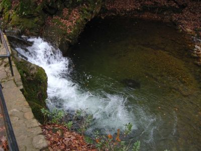 Cascades and Pool
2-1-2011
