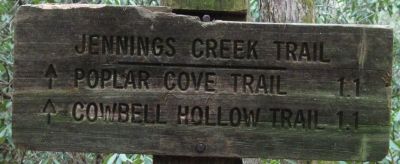 Trail Sign
2-1-2011
