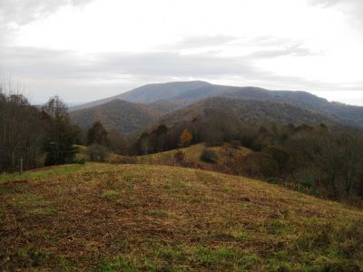 Big Bald
10-28-2018
