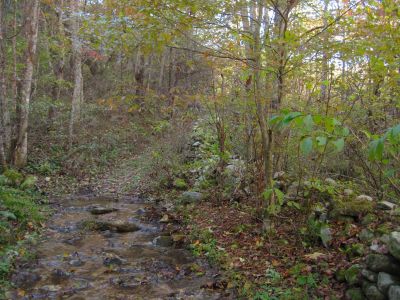 Rock Fence
Lost Cove
10-30-2018
