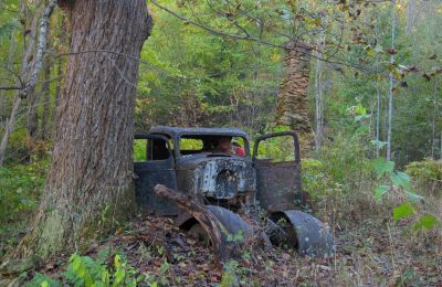 Old Truck
Dan-o checks out the old 'Bonny and Clyde Truck' in Lost Cove
10-30-2018
