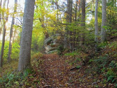 Boulders
Along the trail in Lost Cove
10-30-2018

