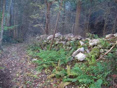 Rock Fence
What is left of an old rock fence in Lost Cove
10-30-2018
