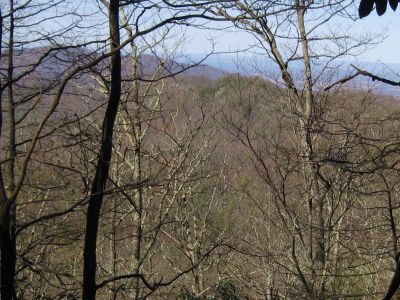 Rocky Knob On Buzzard Roost
Gnarly Cliffs as seen through the trees while ascending Spring Mountain on the Appalachian Trail,
2-19-11
