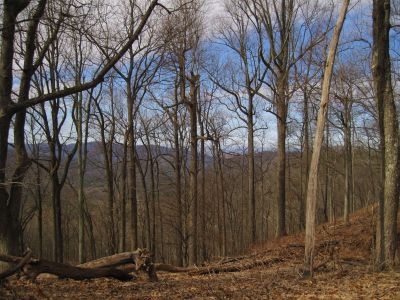 View From Spring Mountain
on the Appalachian Trail,
2-19-11
