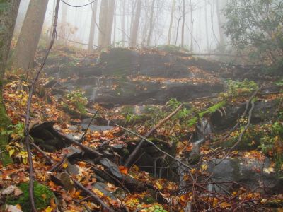 Rich Mountain
Trail to California Fields in the fog.
11-9-2018
