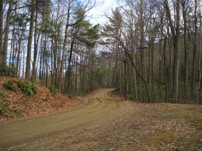 Road Crossing
At Hurricane Gap,
2-19-11
