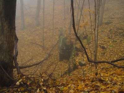 Rich Mountain
Interesting boulder.
Trail to California Fields in the fog.
11-9-2018
