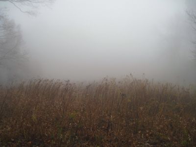 California Fields
California Fields in the fog.
11-9-2018
