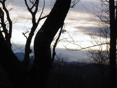 View From Spring Mountain
Distant Mountains appear ghost-like in the haze of the approaching twilight,
2-19-11
