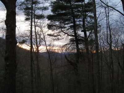 Buzzard Roost Ridge
View...
2-19-11

