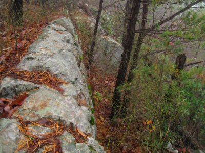 Flattop
Ridge top shelf boulders,
11-15-2015
