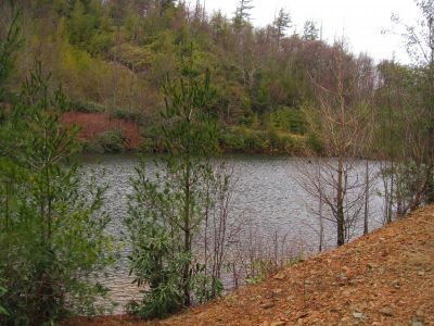 Pond On Higgins Ridge
3-5-2011
