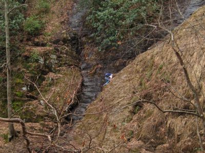 Dan
Climbing left side of  Buckeye Falls,
3-22-2014
