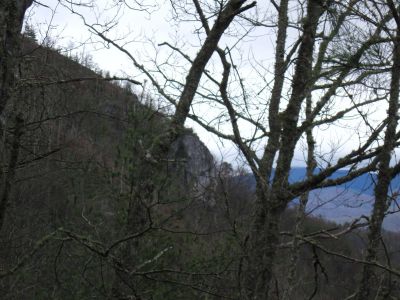Profile of Whitehouse Mountain Cliffs
aka, 'Stonehenge Cliffs'...
...as seen from the 'high road' of the Rocky Fork Trail.
3-5-2011
