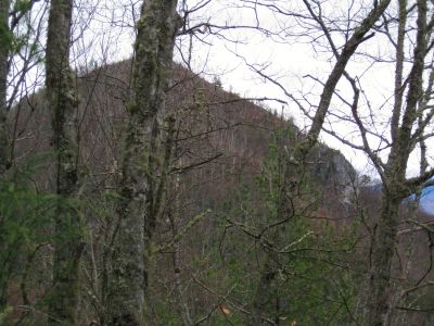 Whitehouse Mountain
...as seen from the 'high road' of the Rocky Fork Trail. The cliffs are on the right end.
3-5-2011

