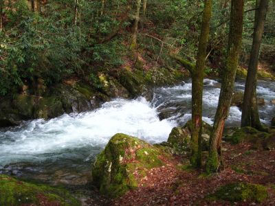 Cascades On Clarks Creek
near swimming hole,
3-11-11
