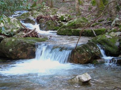 Cascades On Sill Branch
3-11-11
