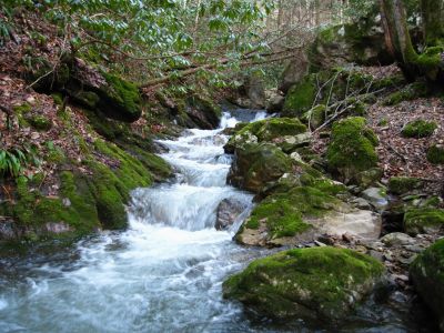 Cascades On Sill Branch
Sill Branch,
3-11-2011
