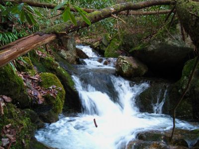 Cascades On Sill Branch
in the 'grotto' section of Sill Branch,
3-11-2011
