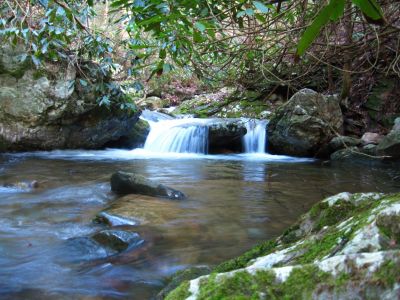 Cascades On Sill Branch
Sill Branch,
3-11-2011
