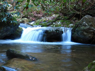 Cascades On Sill Branch
3-11-2011
