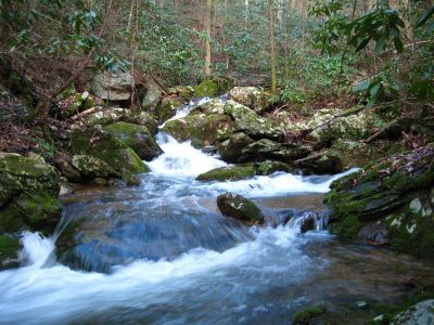 Cascades On Sill Branch
above the 'grotto' section of creek,
3-11-2011
