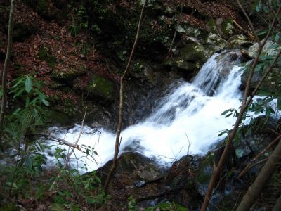 20-foot Waterfall
top view of unnamed falls are below the 'Lower Sill Branch Falls'.
3-11-2011
