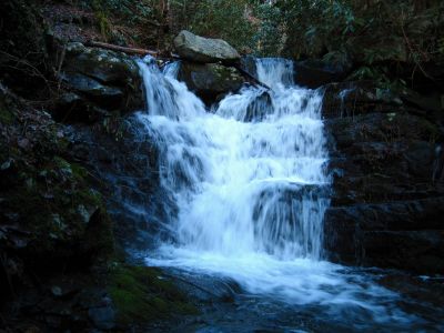 20-foot Waterfall
These impressive, unnamed falls are below the 'Lower Sill Branch Falls'.
3-11-2011
