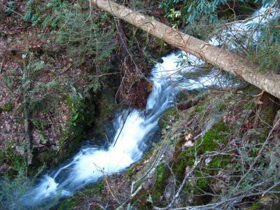 Cascades On Sill Branch
just below the lower falls,
3-11-2011
