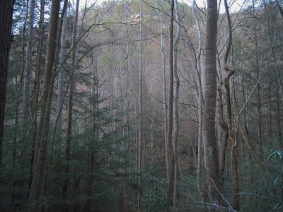 View Of Overlook Rocks
From the Sill Branch Valley,
3-11-2011
