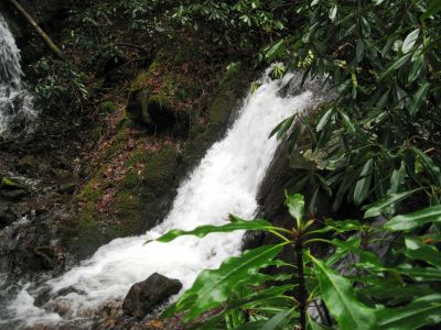 Hell Hollow Falls
2-21-2019
