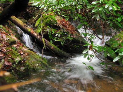 Hell Hollow Falls
2-21-2019
