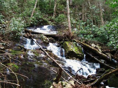 Jones Branch Falls
View from below,
Jones Branch Falls,
3-19-2011
