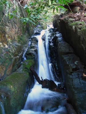 Jones Branch Falls--'The Chasm'
'The Chasm' cascades that feed the falls,
3-19-2011
