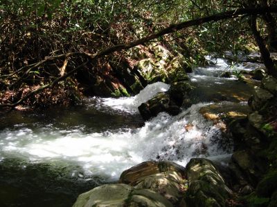 Cascades On Jennings Creek
4-16-2011
