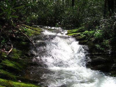 Cascades On Jennings Creek
"Big' Jennings Creek...
4-16-2011
