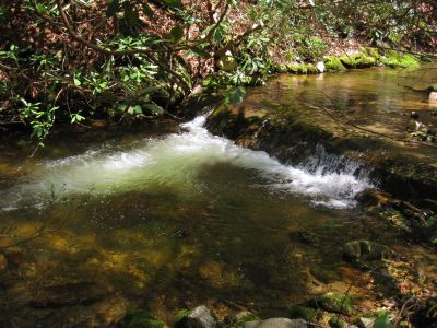 Cascades On Jennings Creek
4-16-2011

