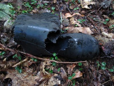 Bear-Chewed Boot
Sampson Wilderness,
2016
