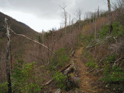 Cowbell Hollow Trail
4-16-2011
