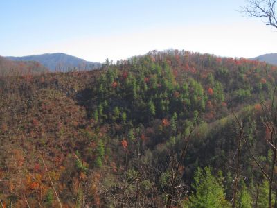 View From No Business Knob
Rocky ridges and hidden cliffs,
11-6-2011
