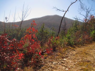 No Business Knob
11-6-2011
