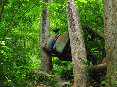 Old Truck
Remnants of an old truck that a tree has grown around,
Amicalola State Park, Georgia,
May, 2011
