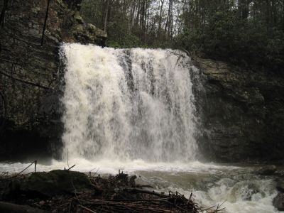 Unspecified Location
January 2017
