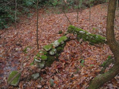 Old Spring Box
No Business Knob,
11-6-2011
