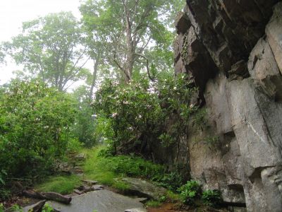 High Rocks
With Rain...
July, 2011
